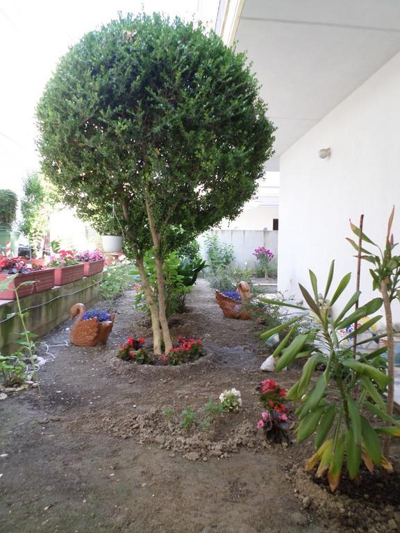 Hotel Dioni Paralia Katerinis Bagian luar foto