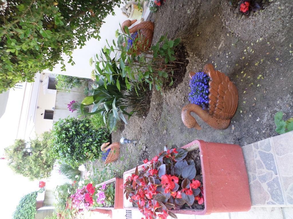 Hotel Dioni Paralia Katerinis Bagian luar foto