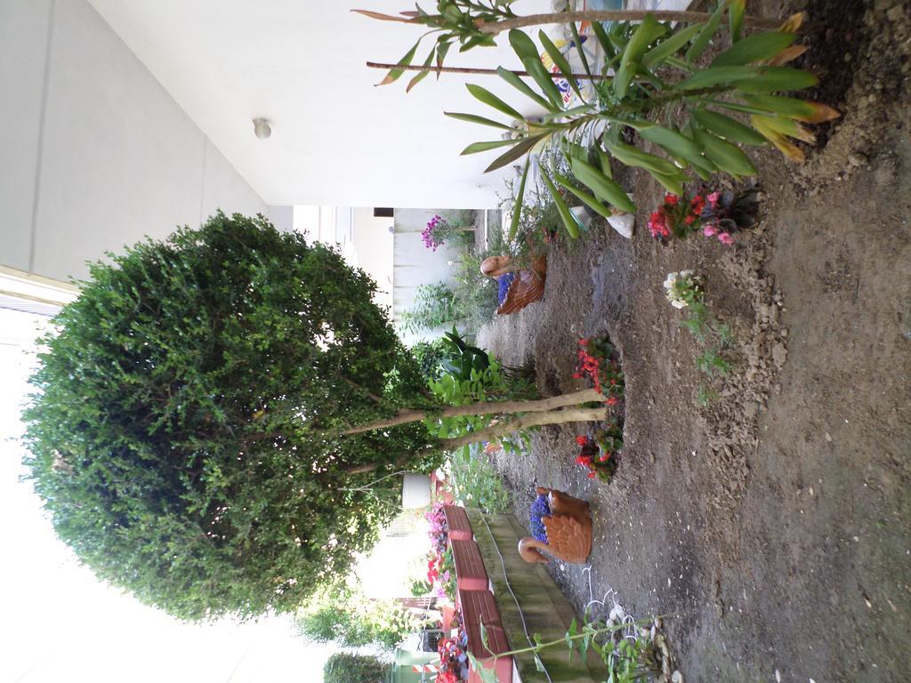 Hotel Dioni Paralia Katerinis Bagian luar foto