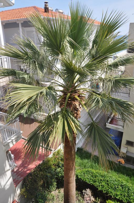 Hotel Dioni Paralia Katerinis Bagian luar foto